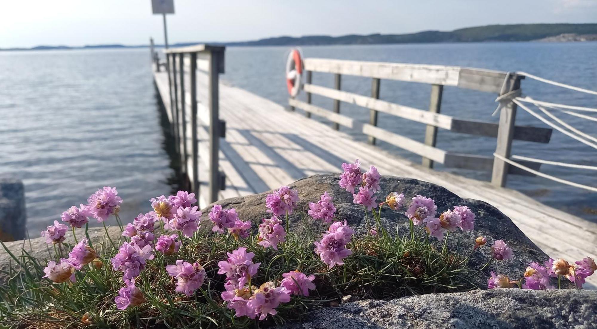 Tofte Guesthouse Naera Hav, Bad Och Marstrand Lycke Εξωτερικό φωτογραφία