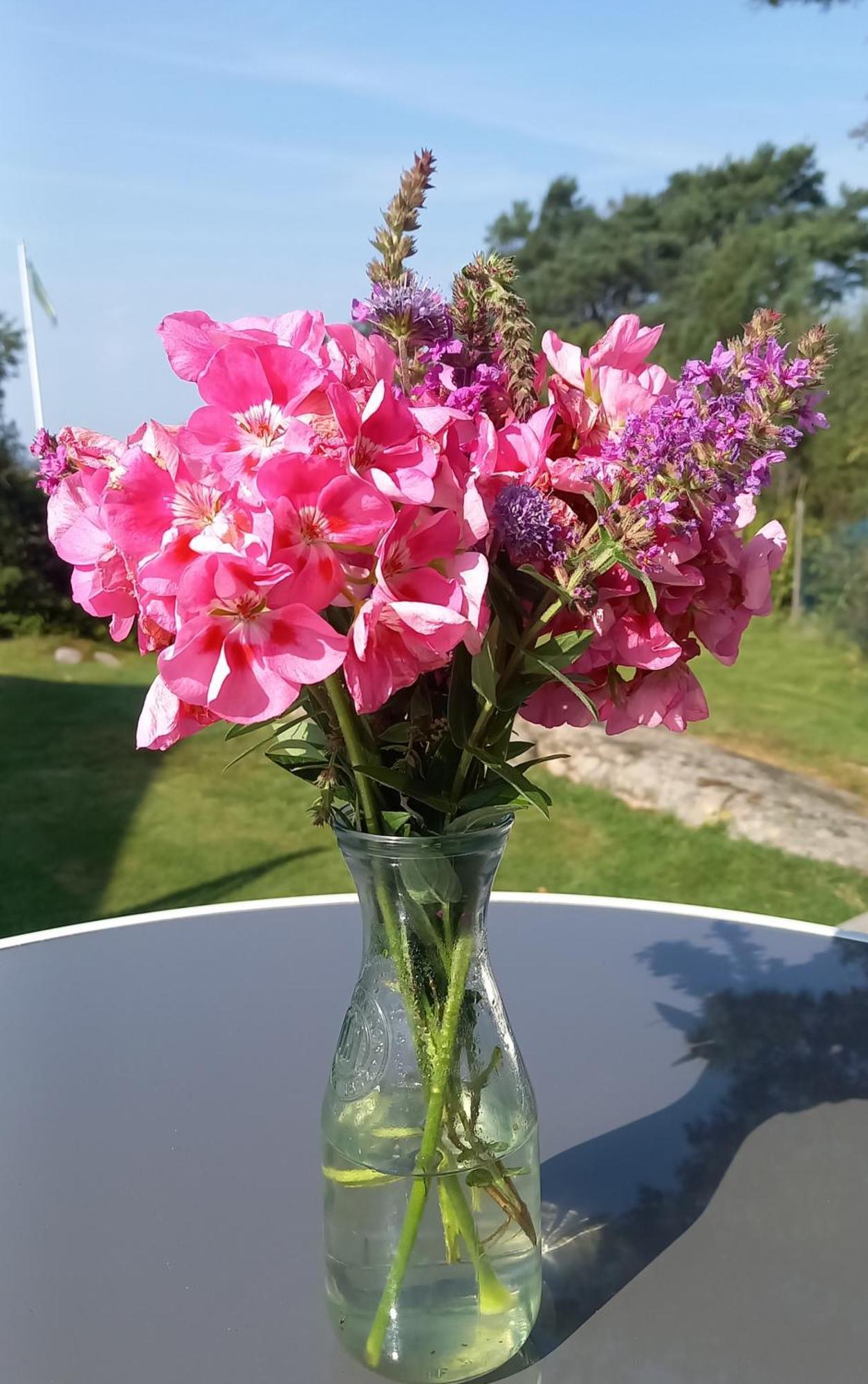 Tofte Guesthouse Naera Hav, Bad Och Marstrand Lycke Εξωτερικό φωτογραφία